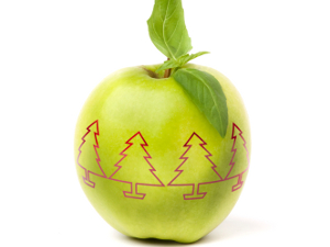 apple with Christmas Trees on it